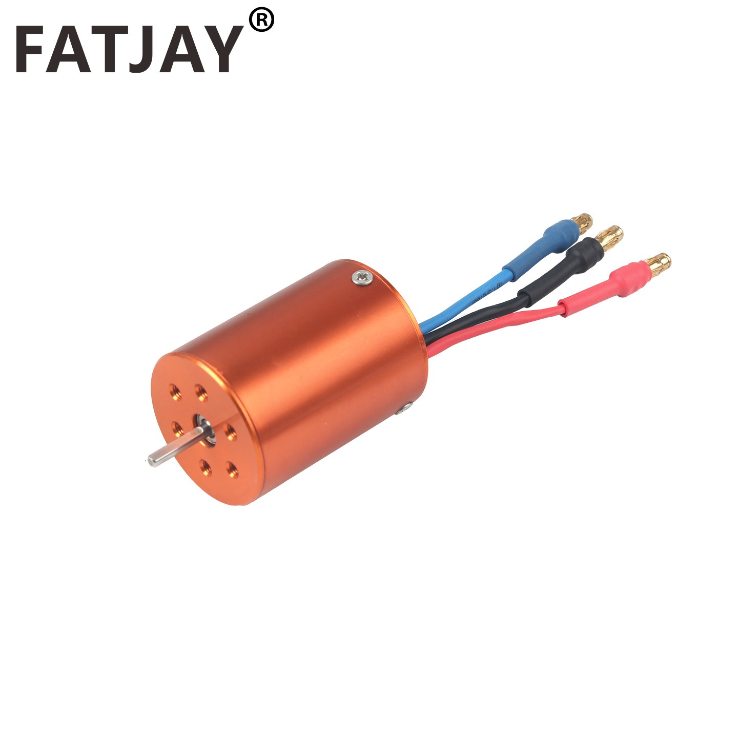 FATJAY 2838-2800KV 3800KV RC 취 - Rc Hobby Models 리뷰 및 가격
